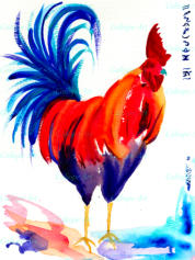 Like Chaucer’s, my vibrant cockerel wants to be noticed: enhancing his strength, his bold and unashamed primary coloured plumage reflects this. I also added my own pictographic alphabet which translated, says how much this free brush style liberated me.